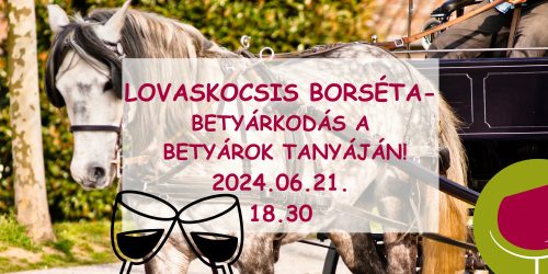LOVASKOCSIS BORSÉTA - BETYÁRKODÁS A BETYÁROK TANYÁJÁN! 2024.06.21.