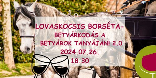 Lovaskocsis borséta - Betyárkodás a Betyárok Tanyáján! 2.0 - 2024.07.26.